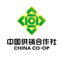 昌邑供销联社公众号ico