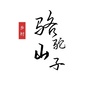 骆驼山子村ico