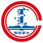 朝阳县蒙古族中学公众号ico