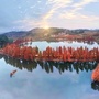长阳铺镇发布ico
