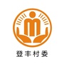 砚台登丰阳光村务ico
