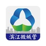 滨江微城管ico