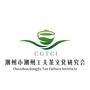 潮州市潮州工夫茶文化研究会ico
