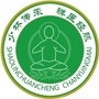 禅医经脉站桩养生ico