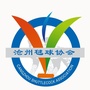 沧州市毽球协会公众号ico