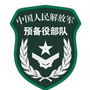 龙城预备役ico