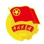 滁州市共青团ico