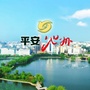 平安池州ico