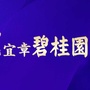 郴州宜章碧桂园ico