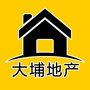 大埔地产ico