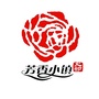 芳香小镇文美大村ico