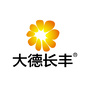 大德长丰ico