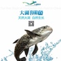 大湖渔馆ico