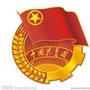 龙泉驿大龙村青年ico