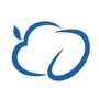 达龙云游戏ico