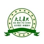 大美复兴ico