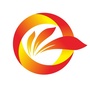 美丽攀枝花ico
