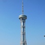 最美郸城ico