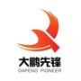大鹏先锋ico