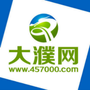 大濮网ico