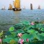 清风大湖ico