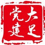 大足党建ico