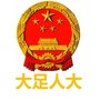 大足人大ico