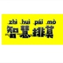 智慧德保排莫村ico