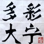 多彩大宁ico