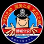 德城公安ico