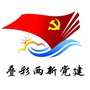 叠彩两新党建ico