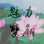 魅力双庙ico