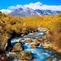 稻城亚丁旅行公众号ico