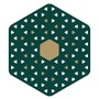 蒲公英泉源教育公众号ico