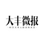 大丰微报ico
