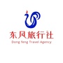 福建南安市东风旅行社有限公司ico