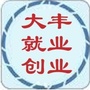 大丰就业创业公众号ico