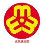 东凤镇妇联ico