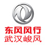 武汉峻风东风风行ico