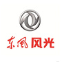 东风风光ico
