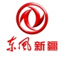 东风新疆ico