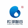 松湖智谷公众号ico
