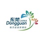 东莞招聘号ico