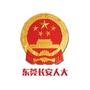 东莞长安人大公众号ico
