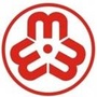 东莞市凤岗镇妇联ico