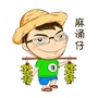 麻涌仔ico