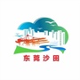东莞沙田ico