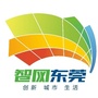 智网企石ico