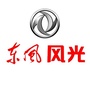 东风风光东莞中力旗舰店公众号ico