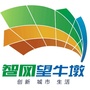智网望牛墩ico